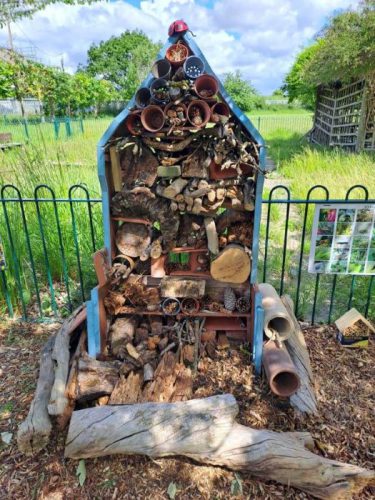 bug-hotel-resize